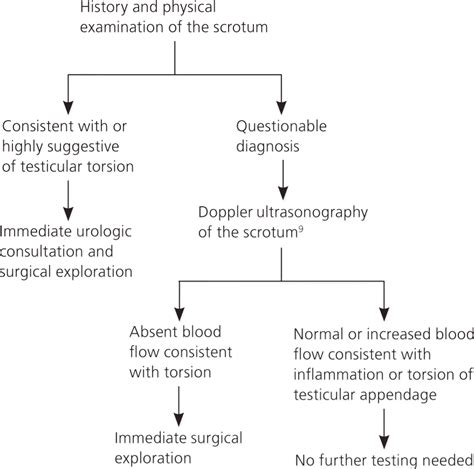 Testicular Torsion: Diagnosis, Evaluation, and 